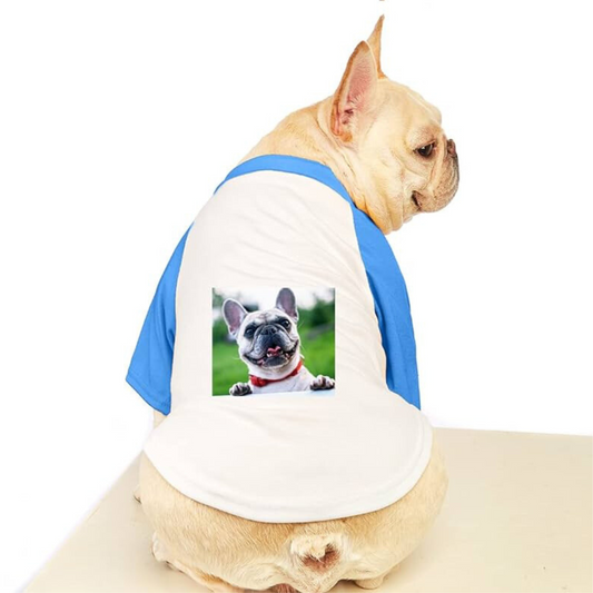 Pet Clothes