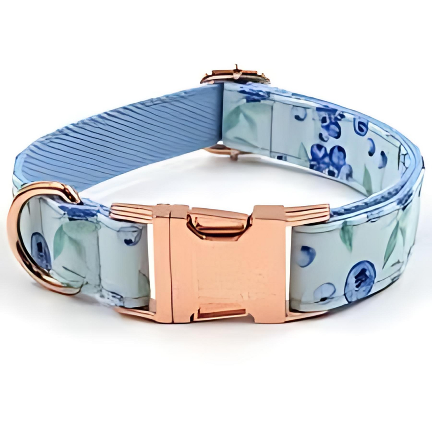 Pet Collars