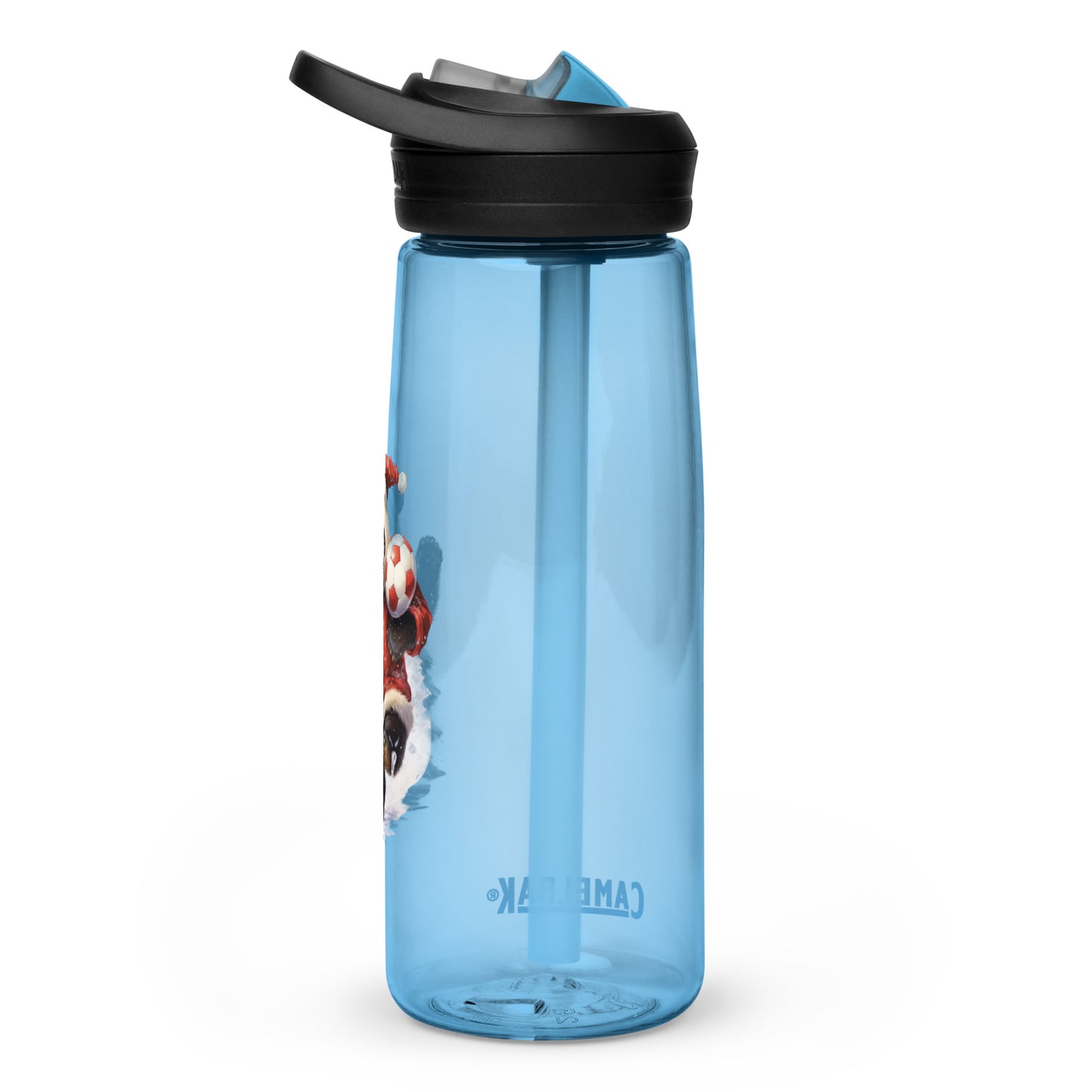 Sports water bottle