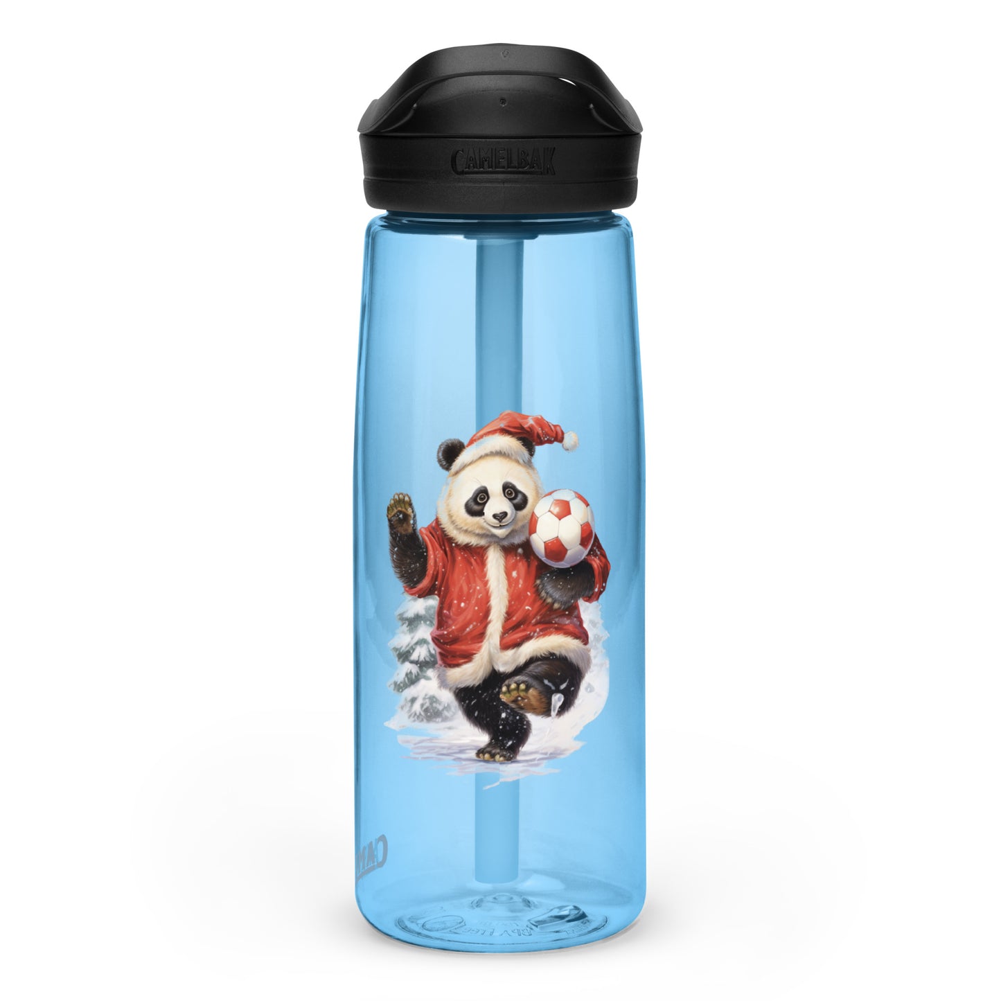 Sports water bottle