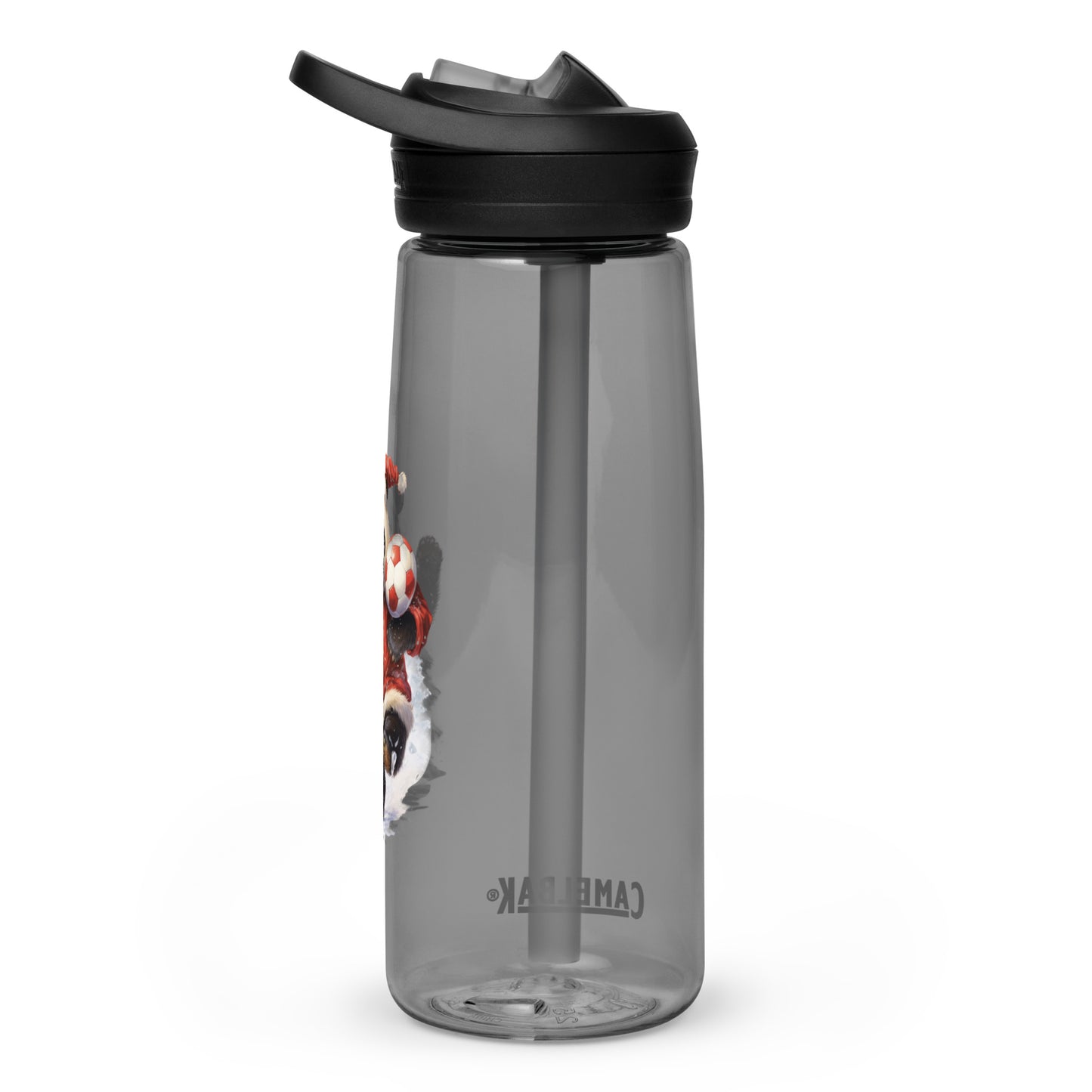 Sports water bottle