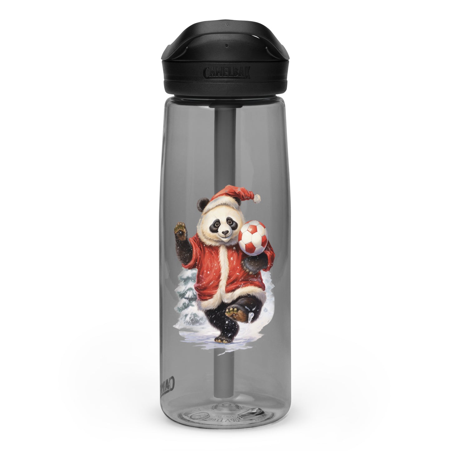 Sports water bottle