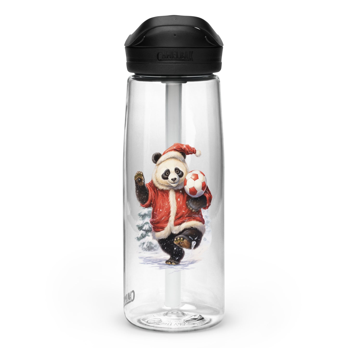 Sports water bottle