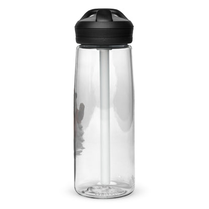 Sports water bottle