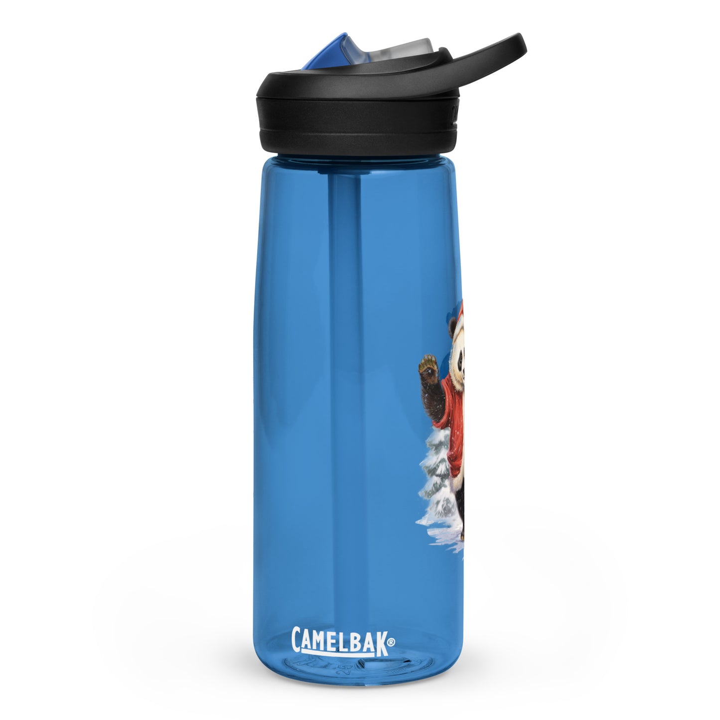 Sports water bottle