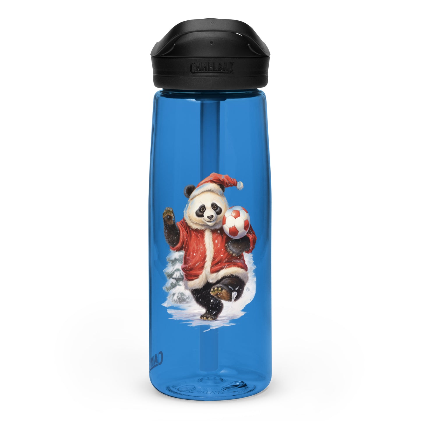 Sports water bottle